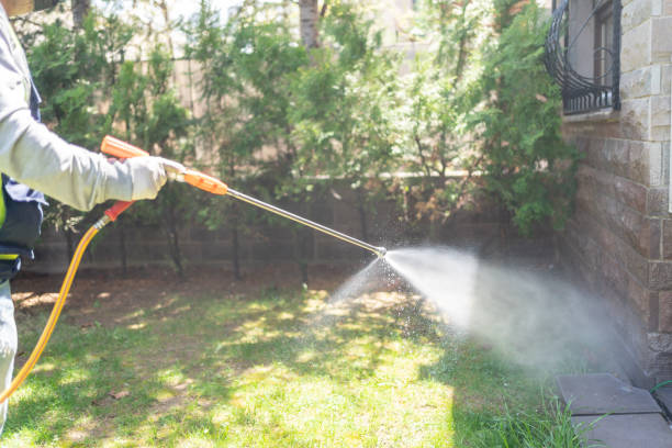 Professional Pest Control in Ridgecrest, FL